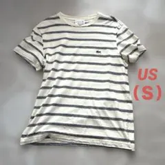 ラコステLACOSTEボーダー半袖Tシャツs-m