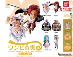 503 ワンピの実 第二十二海戦 全６種コンプリートセット　【シュリンク無し】③