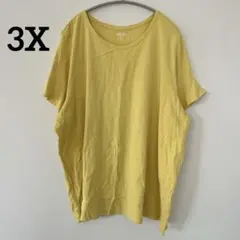 ランズエンド 【3X】クルーネック半袖Tシャツ ビッグサイズ ゆったり 部屋着のサムネイル