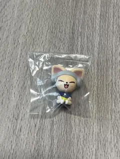 skzoo サウナ　アイエン　フォクシニー