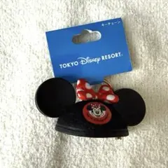 東京ディズニーリゾート ミニーマウス　イヤーハット キーチェーン　キーホルダー