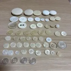 多種類のホワイトボタンセット