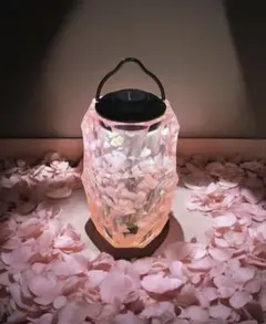 BRIESTA 山桜のサムネイル