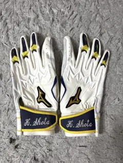 ミズノプロ　パワーアーク　オーダー