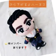 ちょぴ様専用 すのチルソフビ用 タイムトラベラーズワイフ ティザー