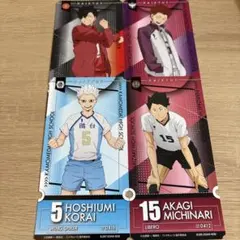 ハイキュー　チケットライクコレクション