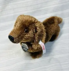 Steiff 白タグ　ダックスフント ぬいぐるみ　ヴンテージ　2005年　ドイツ