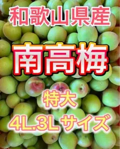 専用出品　masako様　15kg