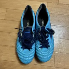 2025年最新】モレリア 青の人気アイテム - メルカリ