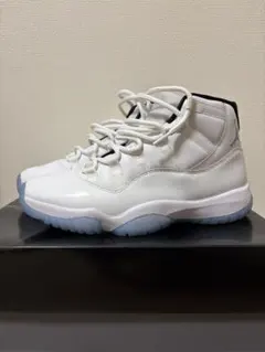 Air Jordan 11 Retro 