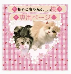 ハンドメイド ♡シュシュ フリル ピンクにピンクのグラデ花の刺しゅう 