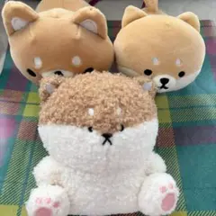 柴犬　ぬいぐるみ