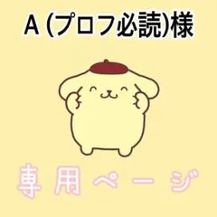 A (プロフ必読)様専用ページ