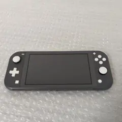 【ジャンク】スイッチライト グレー 本体 Switch Lite