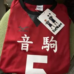 Item thumbnail for item c8aee602-7db0-4c92-8e67-c2e22dc550f3