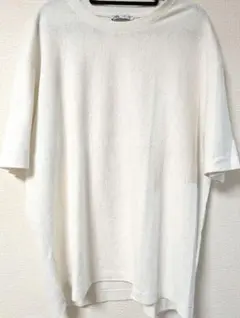 ZARA Tシャツ