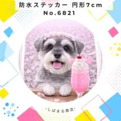 Item thumbnail for item 2c039fb1-c2f9-4eac-8fe8-cd247b3b9414