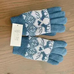 青色 ニット 手袋 柄入り