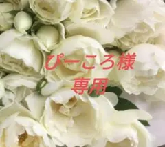 ぴーころ様専用です