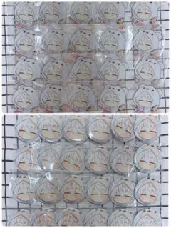 ブルーロック フラワーベア 凪 ファボテリア 缶バッジ アクスタ