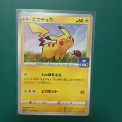 ピカチュウ　ジムプロモ
