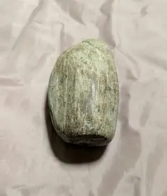 珪化木 木の化石 北海道産 重さ 約1770g - メルカリ