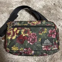 希少・美品】グレゴリー パデッド ショルダーポーチ ルミナス 