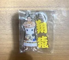 Item thumbnail for item 70a44017-bfe1-4750-87ac-76d911b5ce88