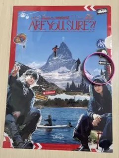 BTS ARE YOU SURE?! 2 イゲマジャ 特典