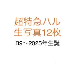 超特急ハル生写真