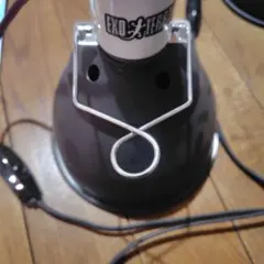 Item thumbnail for item 8a9f894e-7bc2-4f6c-85e8-21890cc65505