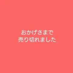sisii レザーライダース(牛革/ピンクベージュ/手洗可/古着)