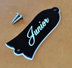 Item thumbnail for item 3d2f0d87-ce1c-49d5-b2ba-16a8b31f3c1c