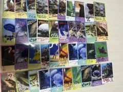 鳥羽水族館 コレクションカード キラちゃん - メルカリ