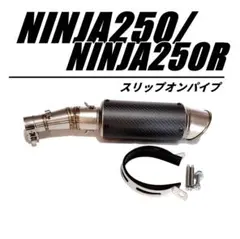 ninja250 ex250l ttsマフラー　二本出し　センターマフラー ninja250 ex250l ttsマフラー 二本出し センターマフラー - メルカリ