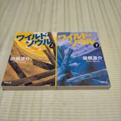ワイルド・ソウル　 上下巻　垣根涼介著
