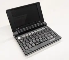 極美品セイコーDAYFILER DF-X11001 SII 電子辞書 医学モデル セイコーインスツル 電子辞書 DAYFILER 医学モデル DF-X11001