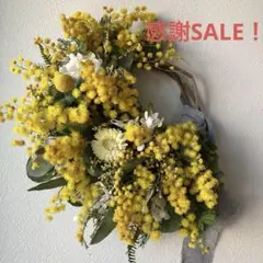 感謝SALE!ミモザのボリュームハーフリース　クラスペディア　春