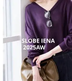 【今季】SLOBE IENAウォッシャブルドルマンVネックプルオーバー