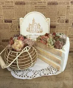 そのまま飾れる多肉植物 ショートケーキ ワイヤーバスケット2点セット