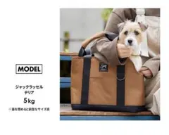 美品【LIFELIKE公式】リトルトートバッグ キャリーバッグ ショルダー 犬のサムネイル