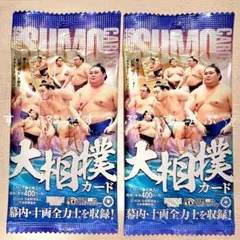 Item thumbnail for item 492d838b-6c05-4d3b-8eb9-98f9fb1f0dfe