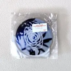 【中古】眩暈siren CD10枚セット 2026年最新】Yahoo!オークション -眩暈siren(音楽)の中古品・新品・未