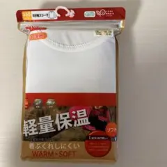 Item thumbnail for item ace9938d-03dc-4349-900a-a40184a0399c