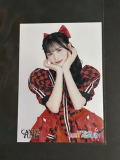 2026年最新】立花 チェキの人気アイテム - メルカリ