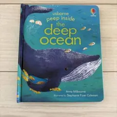 the Deep Ocean イギリス　Usborne仕掛け絵本