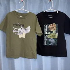 キッズ　半袖Tシャツ　2枚セット　サイズ120 恐竜
