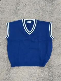 【韓国トレンド】ブルーライン Vネックニットベスト Lサイズ