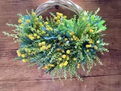 ※流れのままにmimosaの蕾※優しさのハーフリース※