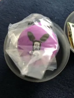 こびとづかん　ウォッチコレクション　アラシクロバネ